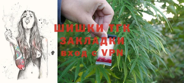 хмурый Янаул