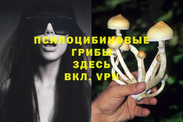 синтетический гашиш Яровое